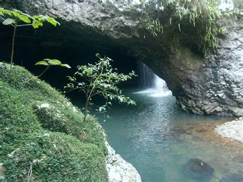 Springbrook National Park | National parks, Natural bridge springbrook, Natural bridge