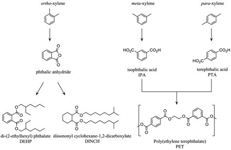 Oxidation of petroleum derived xylene isomers. | Download Scientific ...