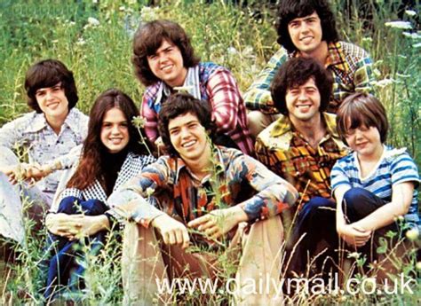 the Osmonds my favorite group in the 70s | The osmonds, Osmond family, Osmond