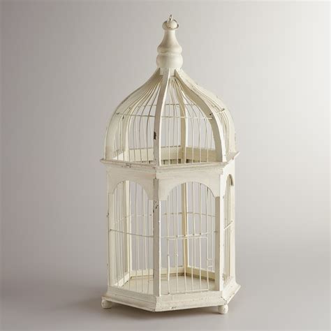 Birdcages: A Hot Decorative Trend
