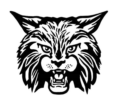 Bobcat Illustrations, Royalty-Free Vector Graphics & Clip Art - iStock