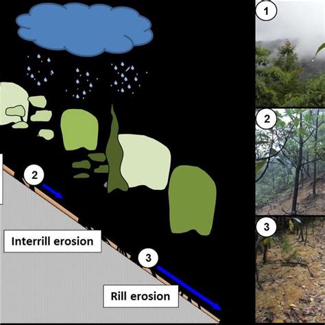 Different stages of water erosion from splash erosion (1) to interrill ...