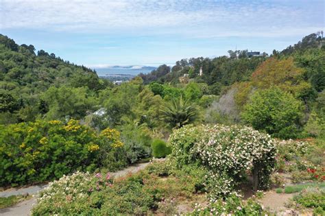 Garden Visit: The University of California Botanical Garden at Berkeley ...