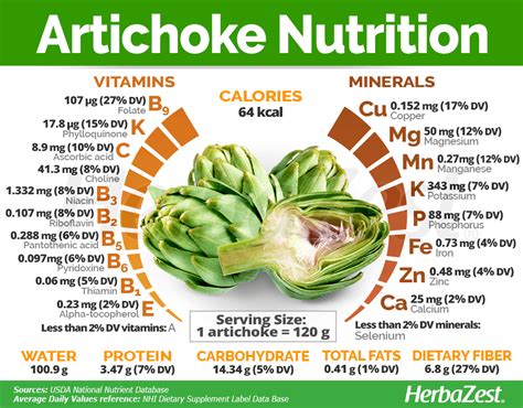 Nutritional Benefits Of Artichoke Hearts - Nutrition Pics