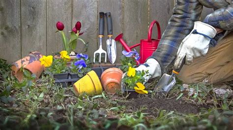 Garden Maintenance Tips and Tricks For Summer Season