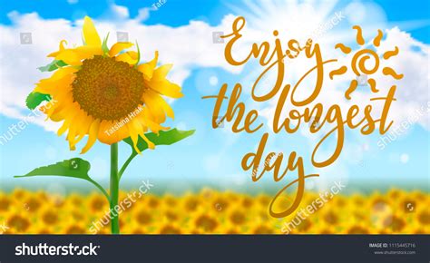 Enjoy Longest Day Handwritten Lettering Quote Stock Vector (Royalty ...