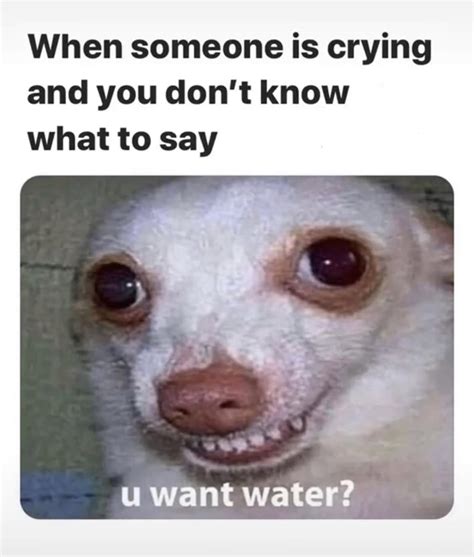 U want water : r/meme