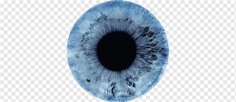 Cor dos olhos Iris clara Olho humano, Olho, azul, pessoas, cor png | PNGWing