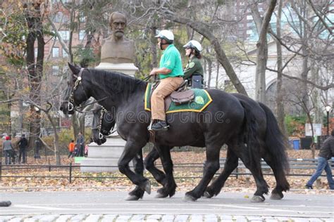 Central Park police editorial photo. Image of policeman - 22217721