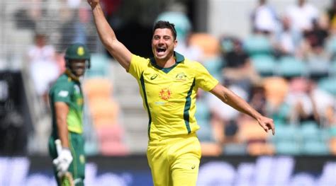 Marcus Stoinis will soon make a comeback for Australia Cricket Team ...