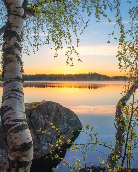 the sun is setting over a lake with some trees in front of it and rocks on the shore