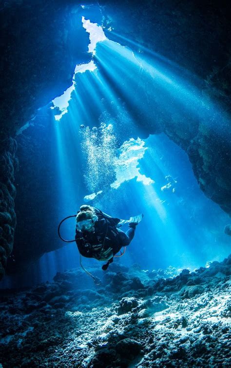 Majestic Diving Photography that will Give You Scuba Thirst Scuba ...