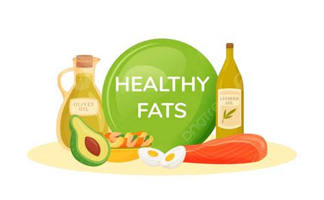 Foods Containing Healthy Fats Cartoon Vector Illustration Food Nourishment Semi Vector, Food ...