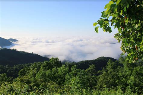 Pisgah National Forest