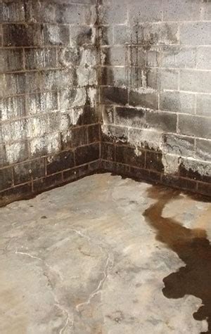 Water Leaking Into Basement Wall - Openbasement