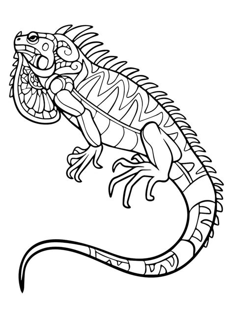 Iguana Coloring Pages - Coloring Pages For Kids And Adults | Iguana ...