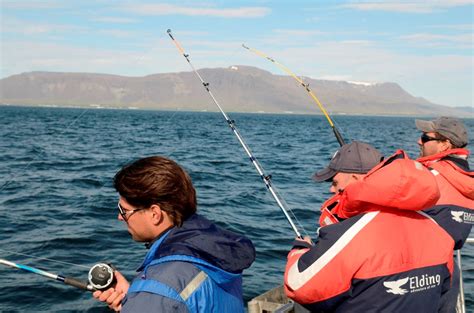 Sea Angling - with Elding from Reykjavík