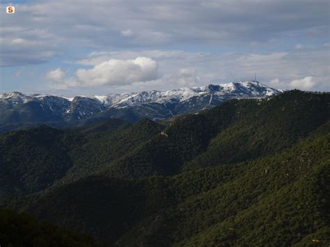 Mountains and highlands of Sardinia - Page 2