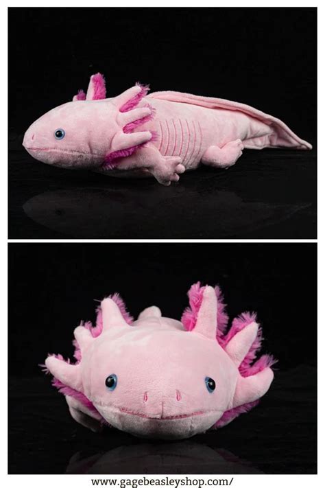 Pink Axolotl Soft Stuffed Plush Toy | Axolotl, Pet toys, Animal plush toys