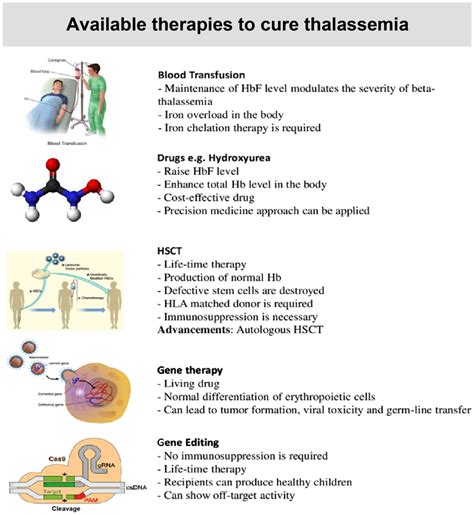 Novel genetic therapeutic approaches for modulating the severity of β ...