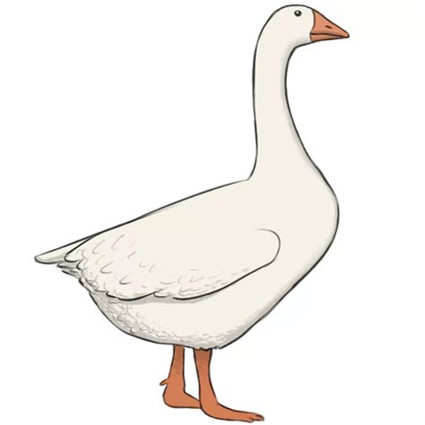 How to Draw a Goose - Easy Drawing Art