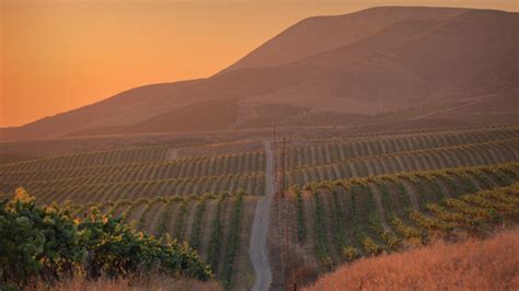 Santa Maria Valley: the best CA wine region you've never heard of