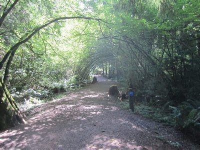 Coquitlam Parks – Let's Go Biking!