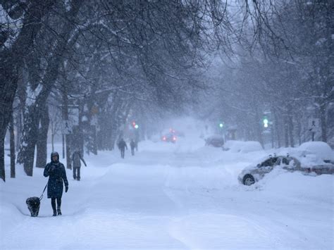 First Snowstorm Of The Season With Up To 20 cm Of Snow To Hit Montreal ...