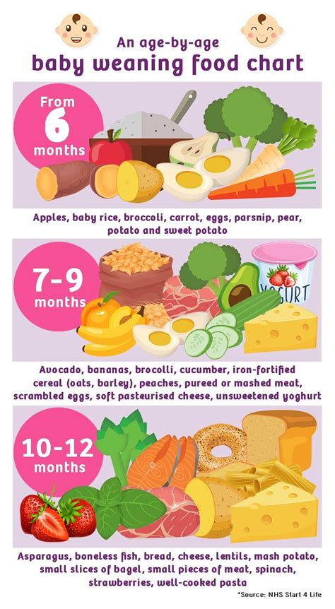 Weaning In Mammals