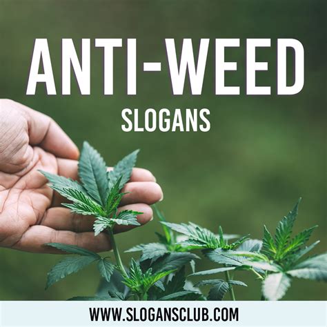 25+ Anti-weed Slogans - Slogans Club