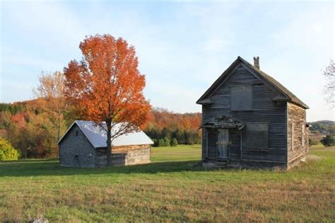 Experience a Virtual Fall Color Tour in Leelanau County [PHOTOS]