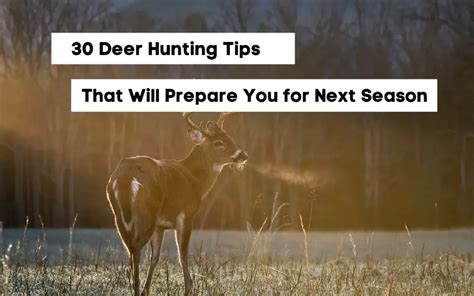 15 Deer Hunting Tips You'll Want To Know - Hunting Critic