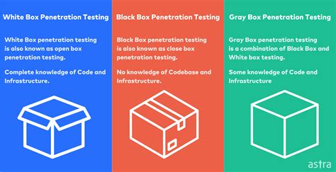 What is White Box Penetration Testing?