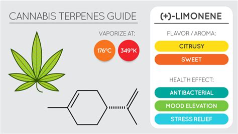 Limonene Terpene Effects, Benefits, and Uses | Elevate Holistics