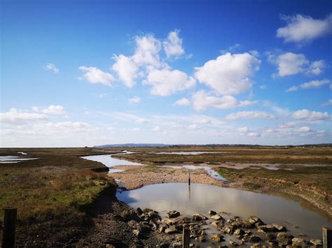 Mummy From The Heart: Visiting Rye Harbour Nature Reserve, East Sussex