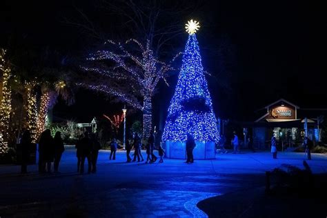 Vote - Lights Before Christmas at Riverbanks Zoo & Garden - Best Zoo ...