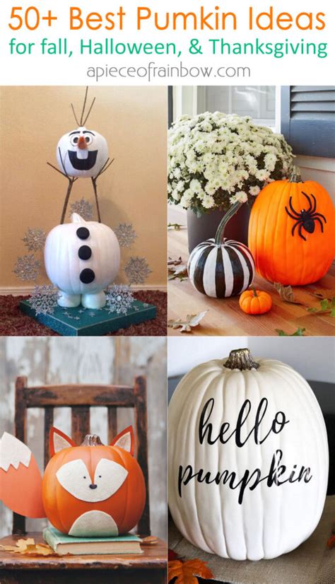 50 Amazing No Carve Pumpkin Decorating Ideas for Fall & Halloween - A Piece Of Rainbow