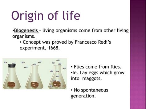 PPT - Origin of life PowerPoint Presentation, free download - ID:3018053