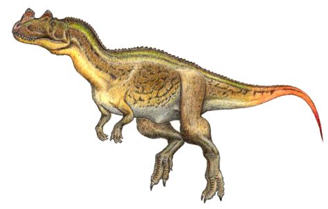 Ceratosaurus - Dinopedia - the free dinosaur encyclopedia