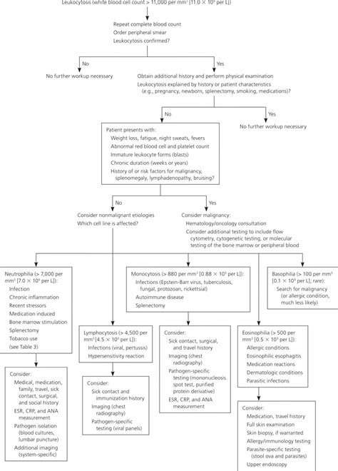 Leukocytosis definition, causes, symptoms, diagnosis & leukocytosis treatment