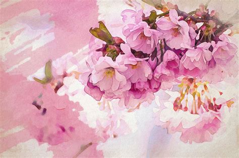 25+ Cherry Blossom Watercolor Inspirations to Dream About - KnockOffDecor.com