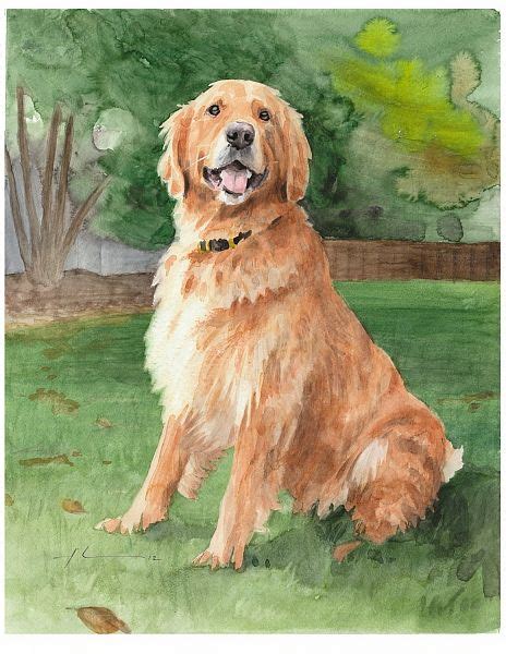 Golden retriever watercolor by Mike Theuer | Daler Rowney | Golden retriever watercolor, Golden ...