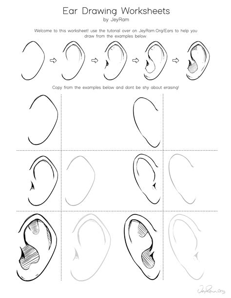 How to Draw Ears from the Side: Step by Step Tutorial for Beginners - JeyRam Drawing Tutorials