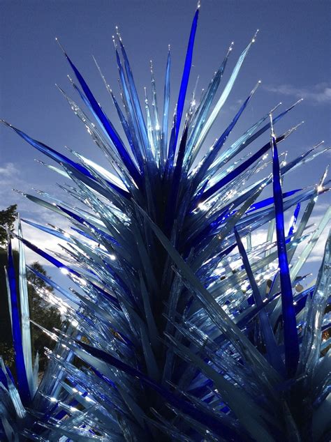 botanic gardens, illuminated, close-up, no people, outdoor, plant, reflection, decoration ...