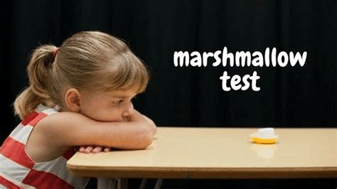 Delayed Gratification: The Marshmallow Test