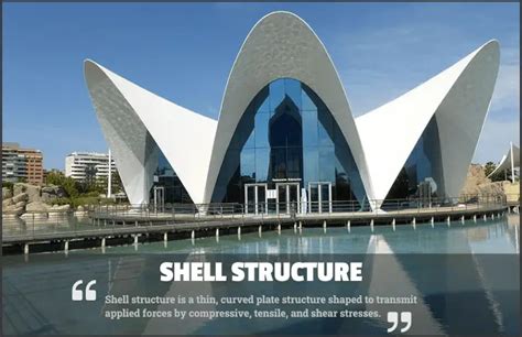 Shell Structure: Types, Examples and Applications