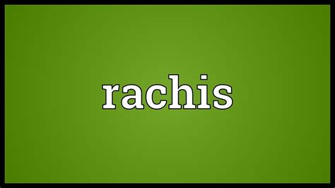 Rachis Meaning - YouTube