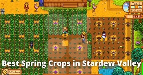 Stardew Valley Best Spring Crop - Nerd Lodge