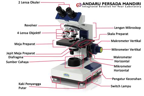 Mikroskop Monokuler Beserta Bagian Dan Fungsinya - Galeri Pendidikan