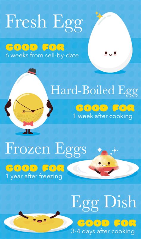 The Ultimate Guide to Egg Nutrition | BODi